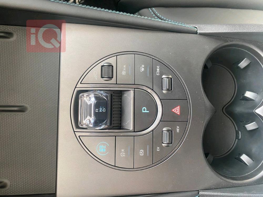 بي واي دي سيل 06 DM-i